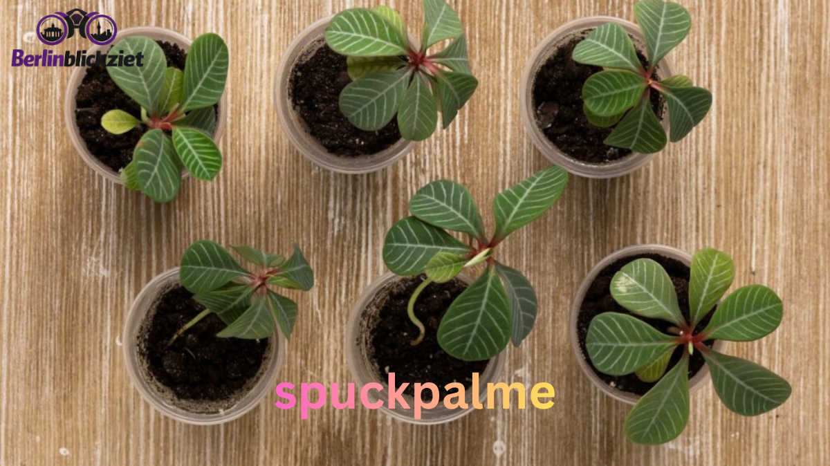 Spuckpalme Pflege: Schön, aber mit Vorsicht