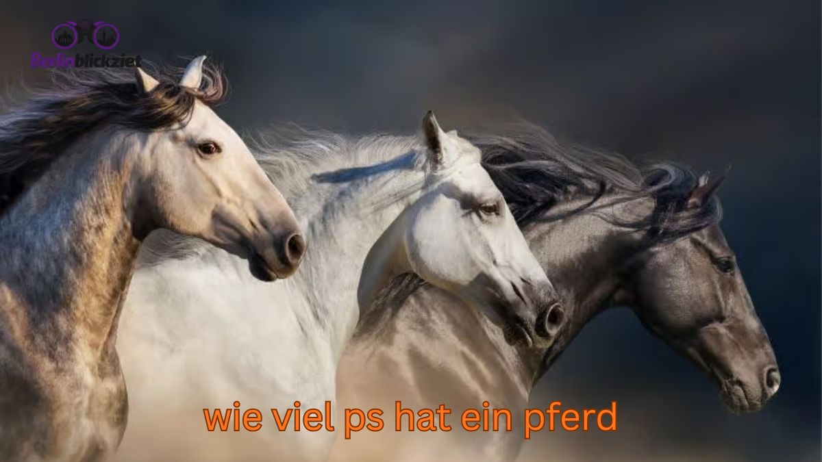 Wie viel PS hat ein Pferd wirklich? Die ehrliche Antwort